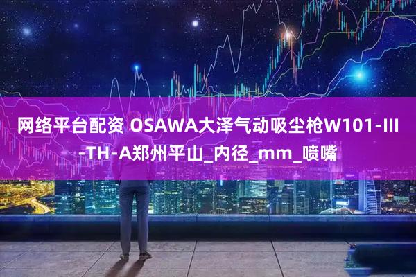 网络平台配资 OSAWA大泽气动吸尘枪W101-III-TH-A郑州平山_内径_mm_喷嘴