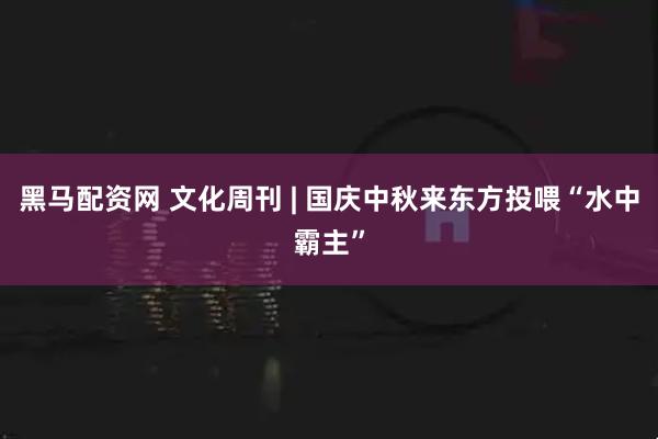 黑马配资网 文化周刊 | 国庆中秋来东方投喂“水中霸主”
